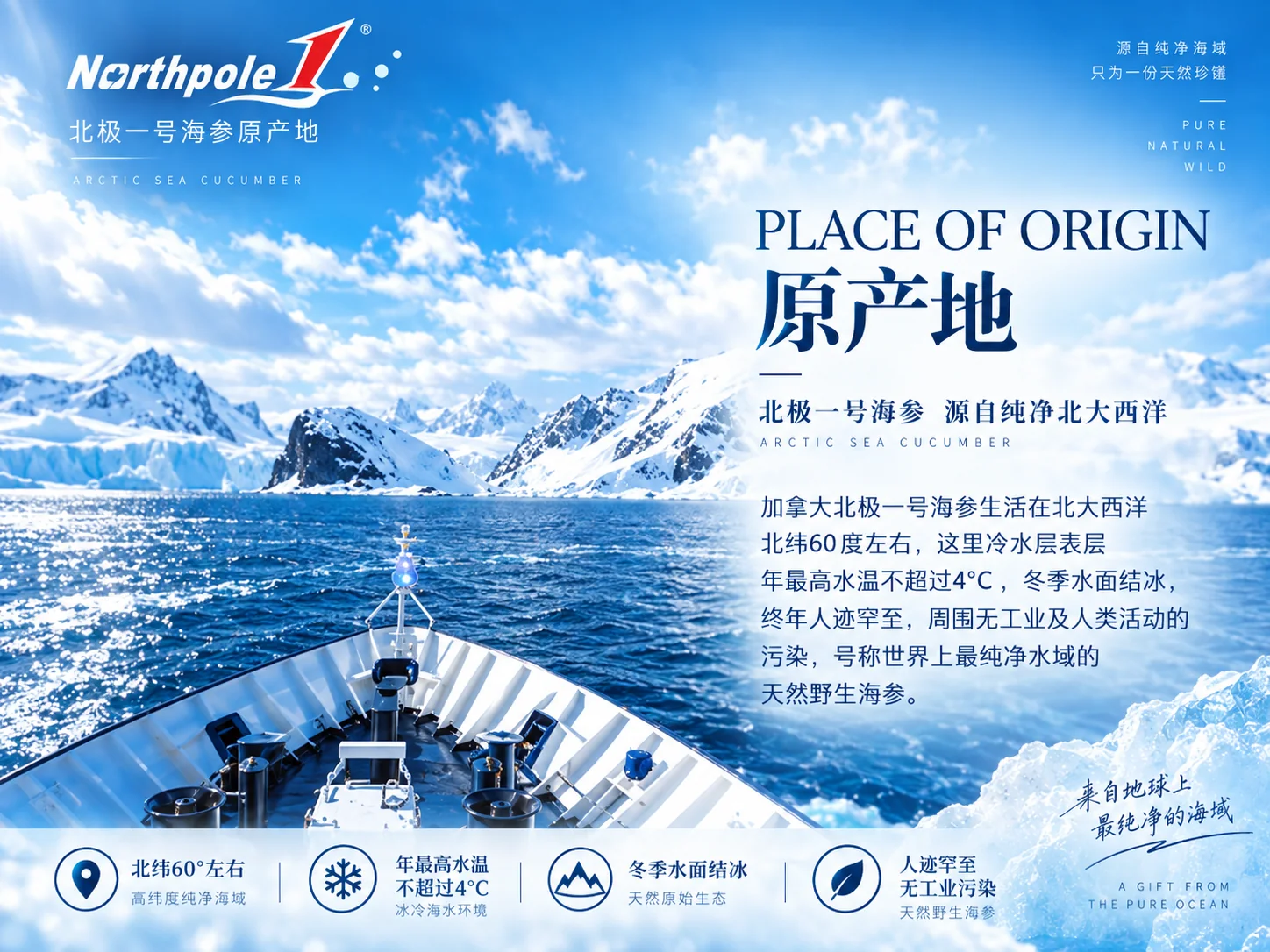 北极一号黑金帝王级海参产品资料图2