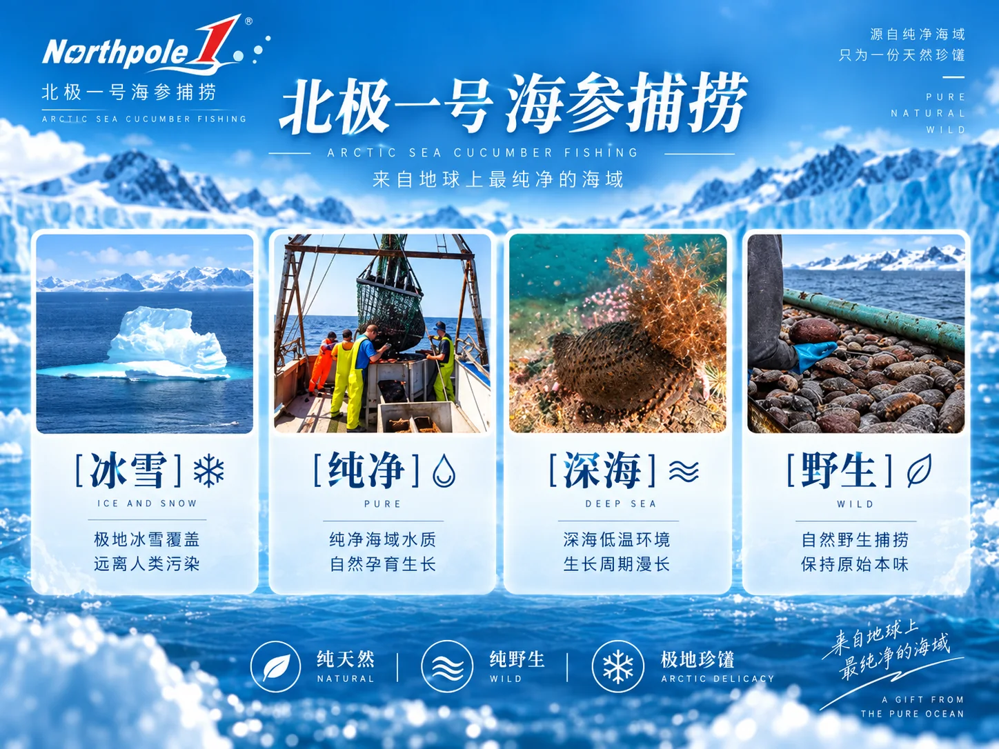 北极一号黑金帝王级海参产品资料图4